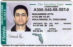 Immigrants in Florida illegally could get driver's licenses under