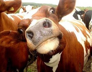 GARDNER: Free Trade Agreement Means Billions for Colorado’s Exporters 