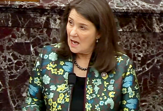 Impeachment: Kangaroo court argues Congress is the real victim