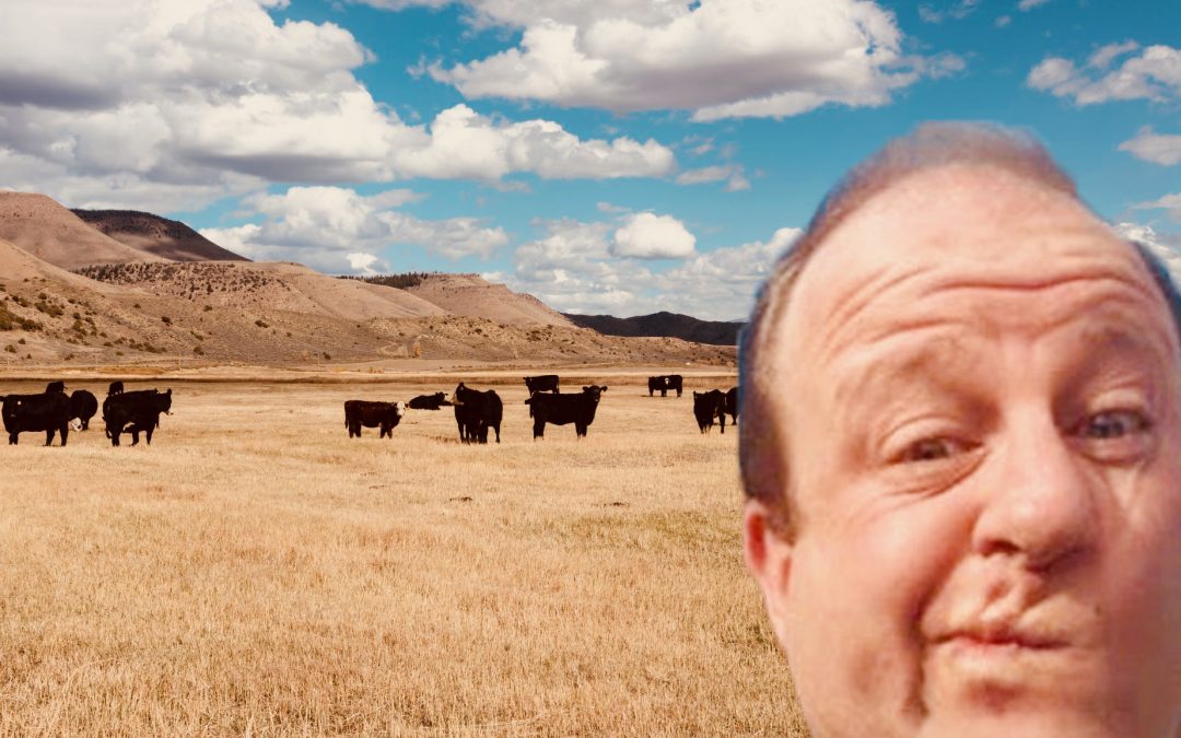 Polis pretends to campaign across Colorado and engage with voters