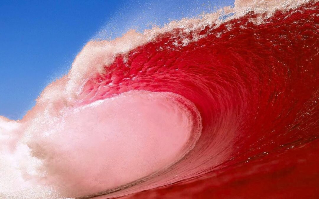Red Wave Rising: State Democrat strategists sound alarm bells on 2022