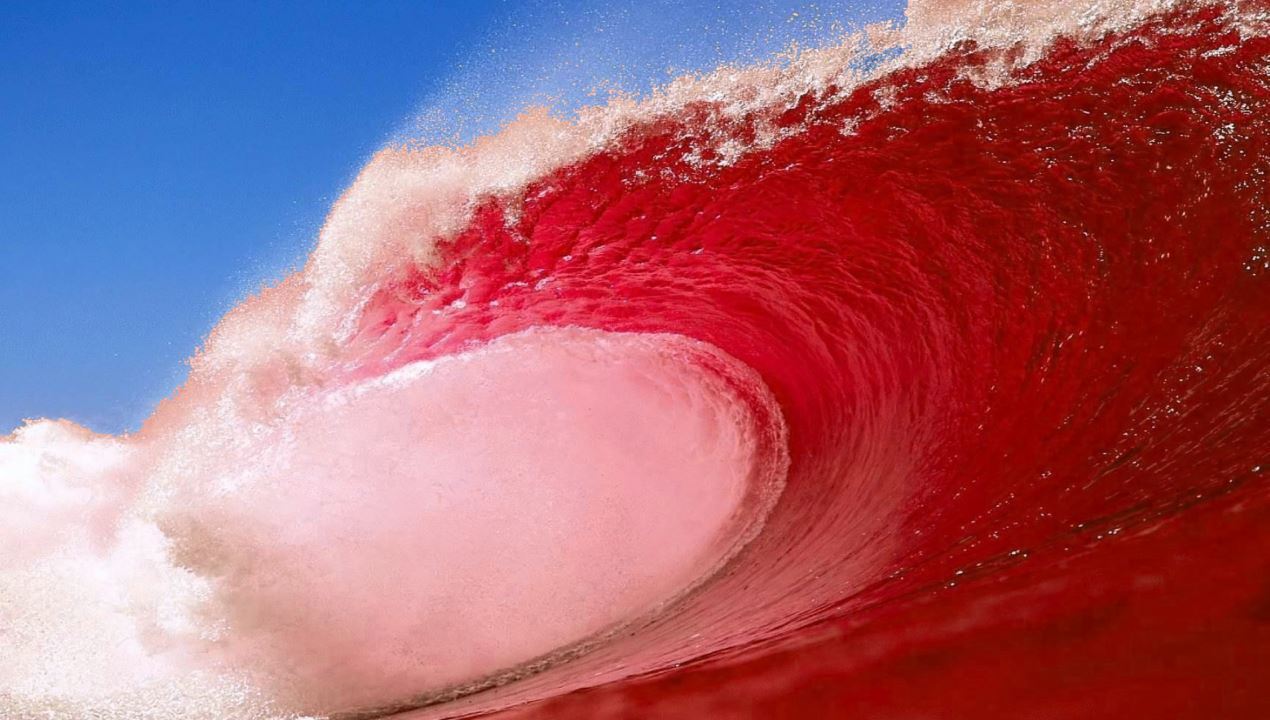 Red Wave Rising State Democrat strategists sound alarm bells on 2022