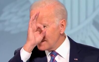 Biden beat Bennet and Hick for president. Could either have done a better job?