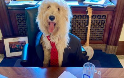 Colorado Democrats whose Halloween costumes bombed this year