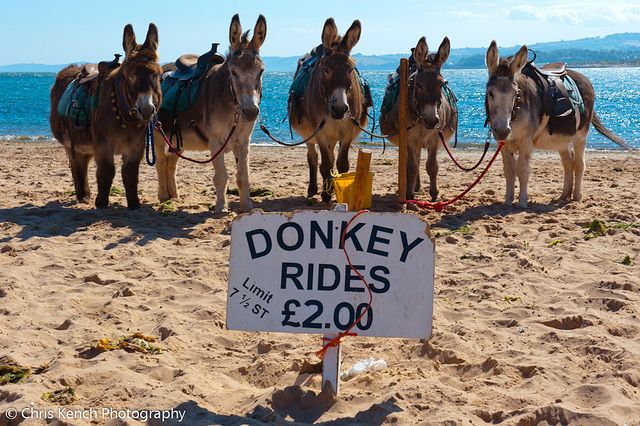 We’re Number One! Colorado gas prices spike higher than any state nationwide