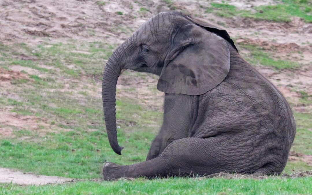 Judge now rules he doesn’t have authority to stop vote ousting GOP leader