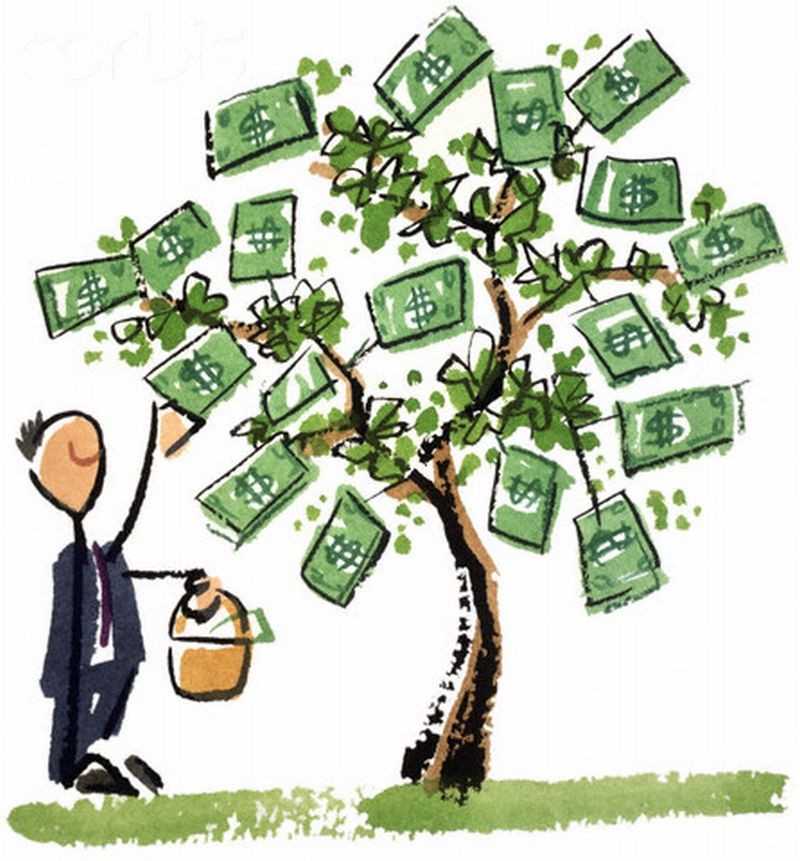 Image result for money tree